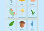 do design custom worksheet and activity book
